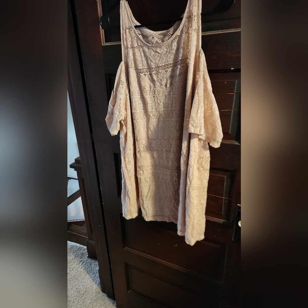 Torrid Lace Blush Pink Top